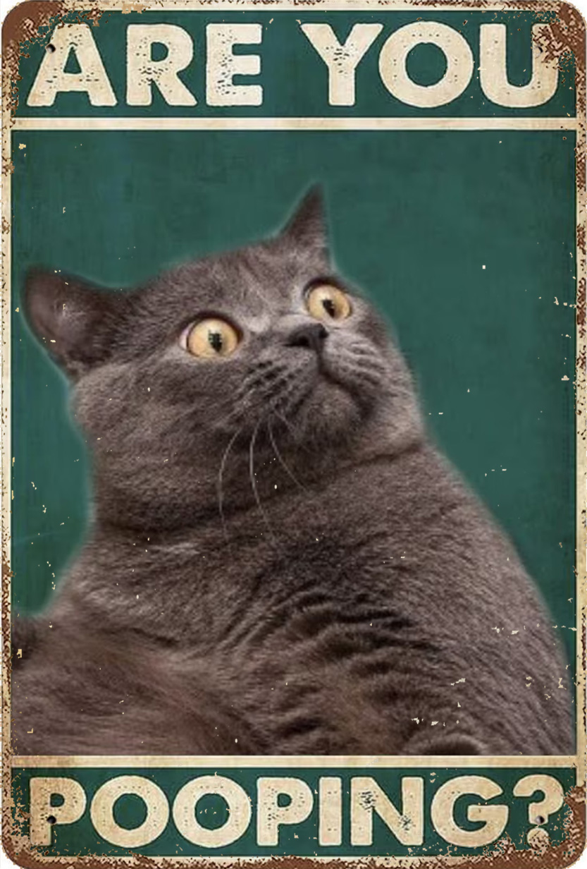 are you pooping cat Bathroom Metal Tin Sign, Bathroom Quotes Signs Wall ...