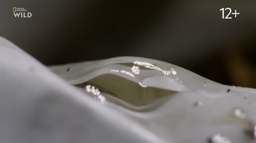 [Image: 0n58dll3xoho.jpg]