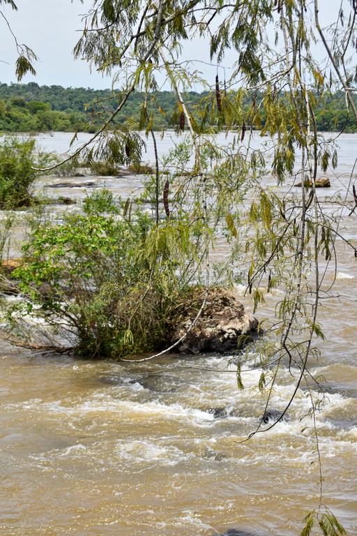 В джазе только девушки или аргентинско-бразильский калейдоскоп В джазе только девушки или аргентинско-бразильский калейдоскоп