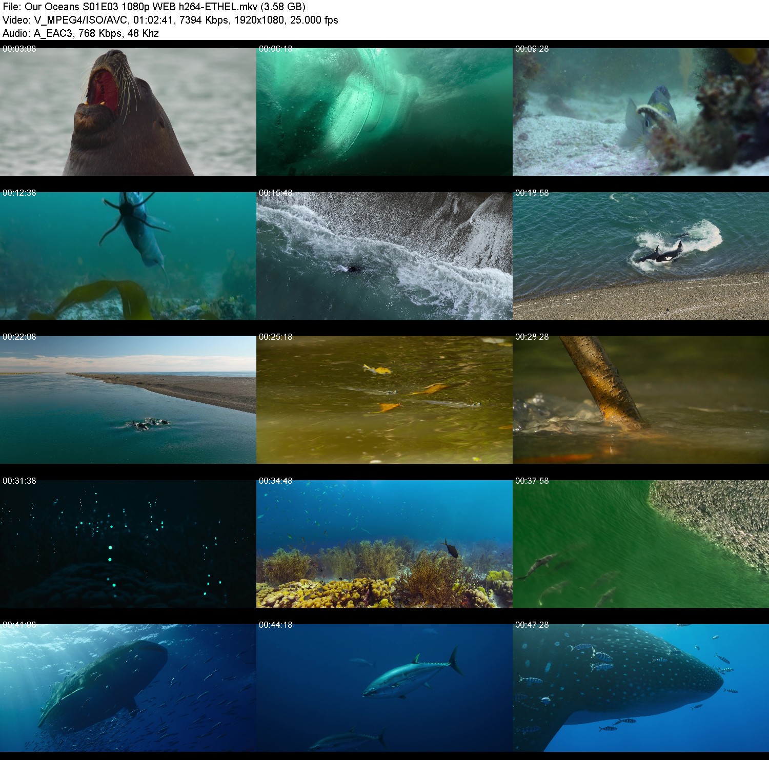 [Image: im7qzc56jls8.jpg]