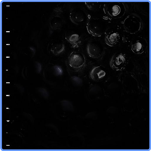 Crumb - Ice Melt (2021) mp3 320 Kbps