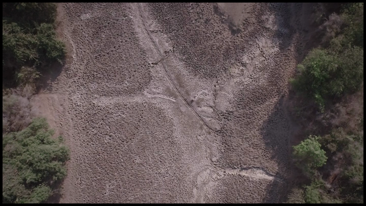 [Image: tz1d26bj9rtf.png]