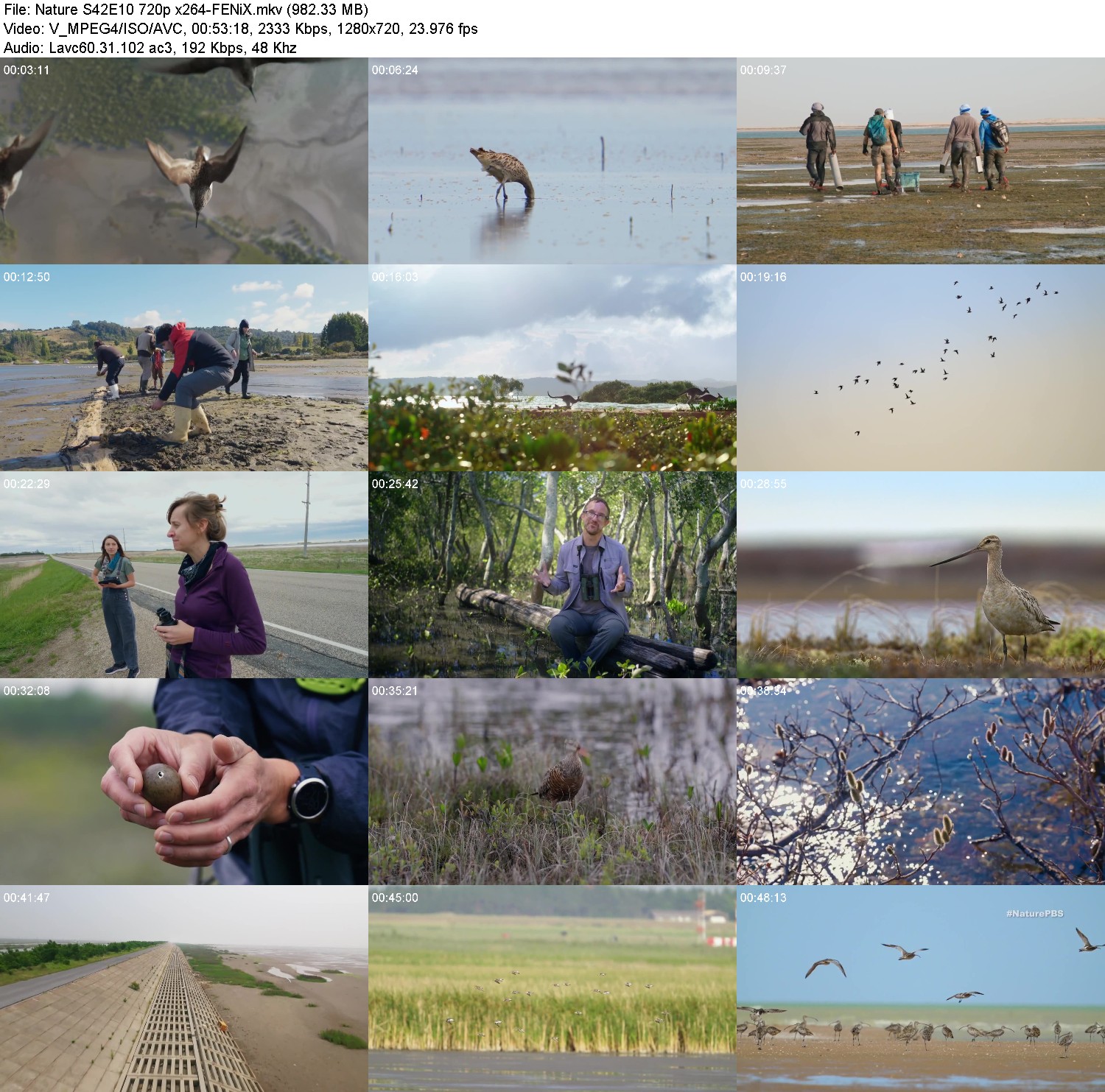 [Image: ec5ljzg9v85o.jpg]