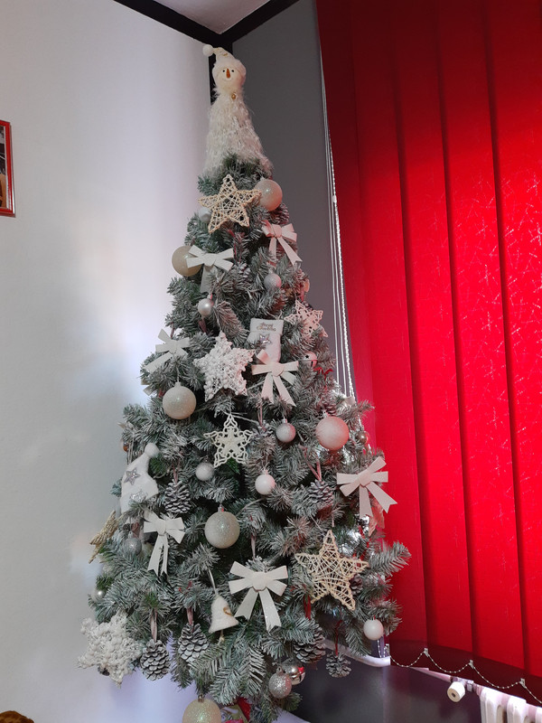 IMG_20211201_122339334