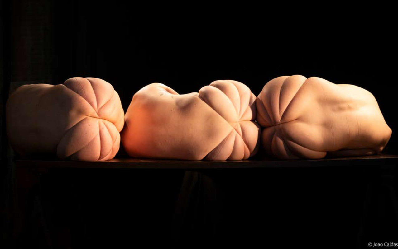 Foto de João Caldas. Bondages versão grupo (1)