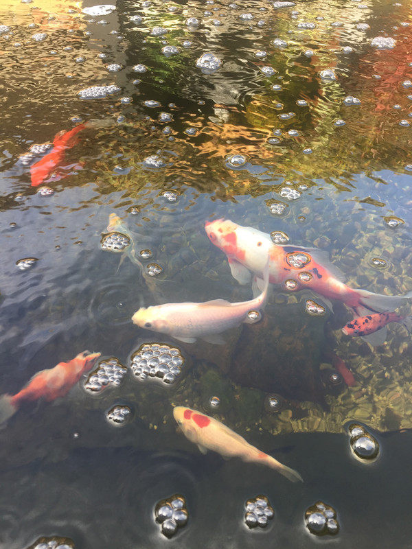 78275EE5-902B-4360-B4B0-1B1078A92517