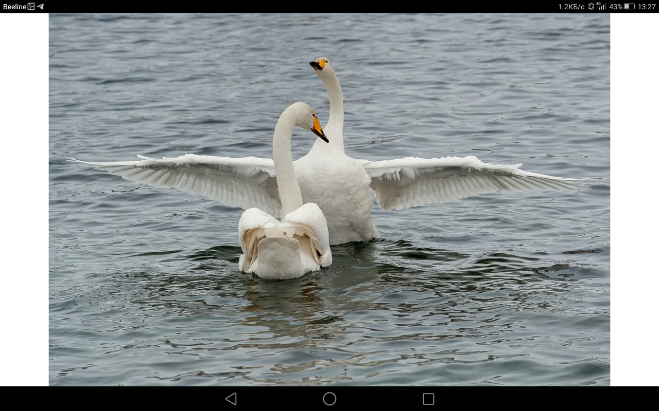 Screenshot_2023-01-14-13-27-01