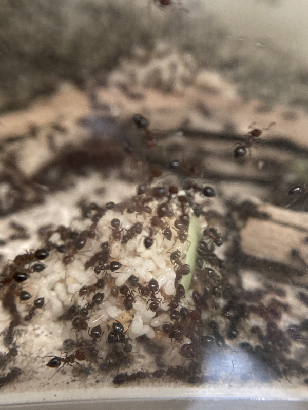 1BAE6862-00B6-490D-9E77-1A5461B93E83