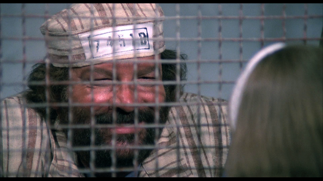 vlcsnap-2024-01-21-19h00m12s871