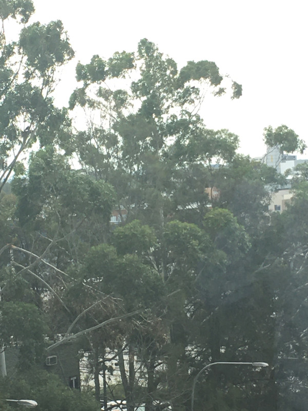 A731DCB1-9C4E-4404-8EAB-196367A5403F