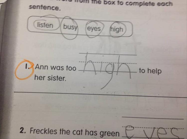 funny_homework.jpg