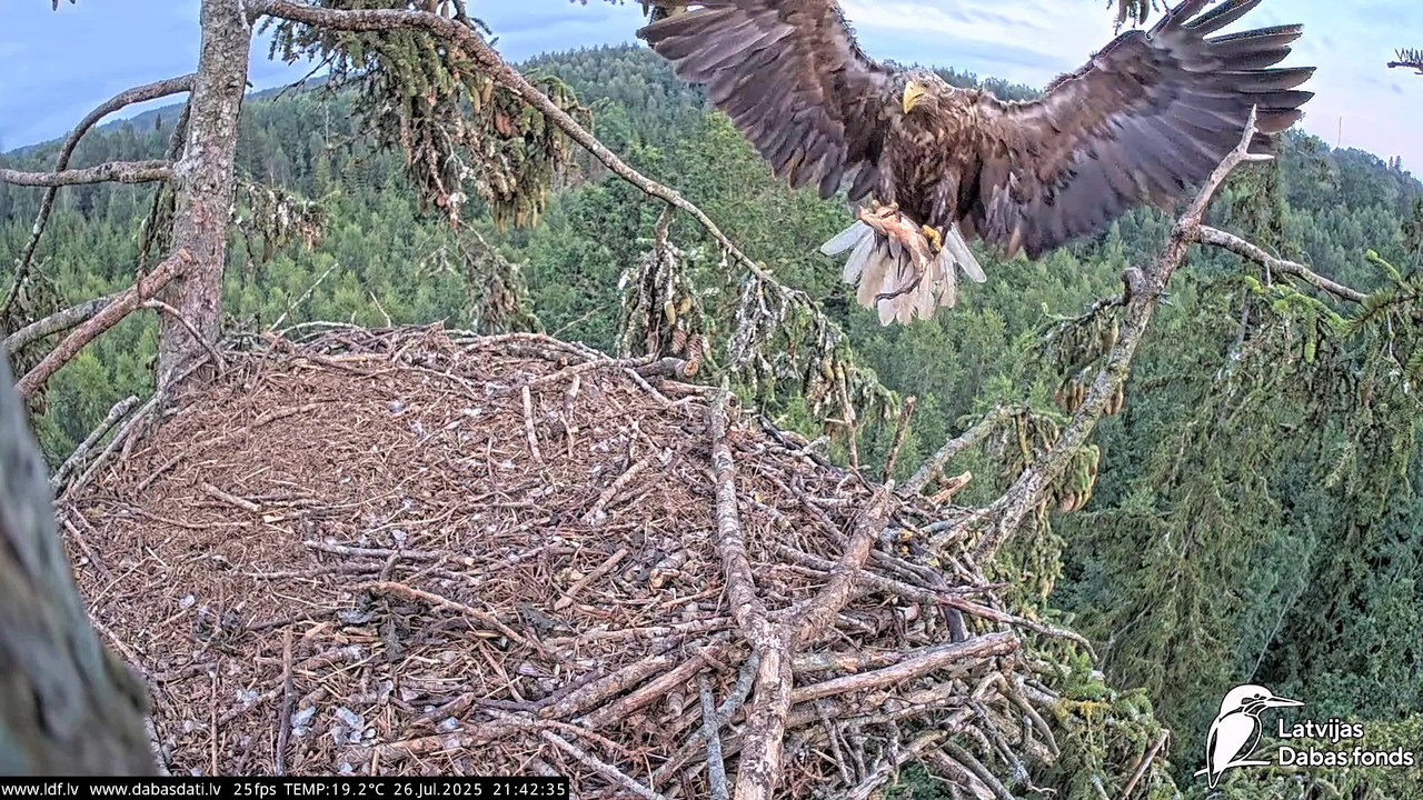 vlcsnap-2025-07-27-04h49m56s826