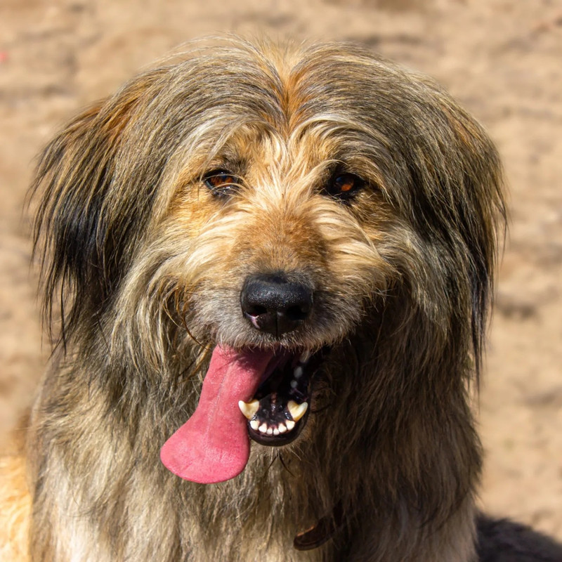 owrC_IXGBbgYY_XGs86OLdk8YK6VQ23TPU56ZZUgam36urNyc5Y0kfckiXZekp_enAigqWU81AOam8GpDR6tzGo3