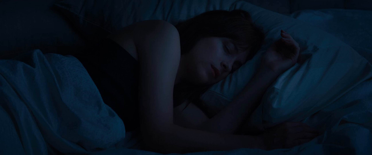 Fifty Shades of Grey 2015 WebRip [Hindi + Tamil + Telugu + Kannada + English] 480p, 720p, 1080p ESub Screenshot
