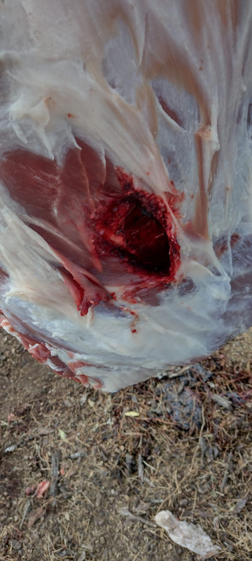 WhatsApp Image 2022-10-10 at 12.14.15(1)