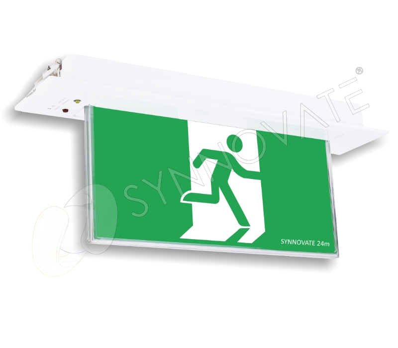 Image1