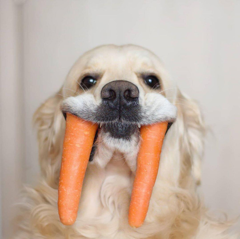 [?]