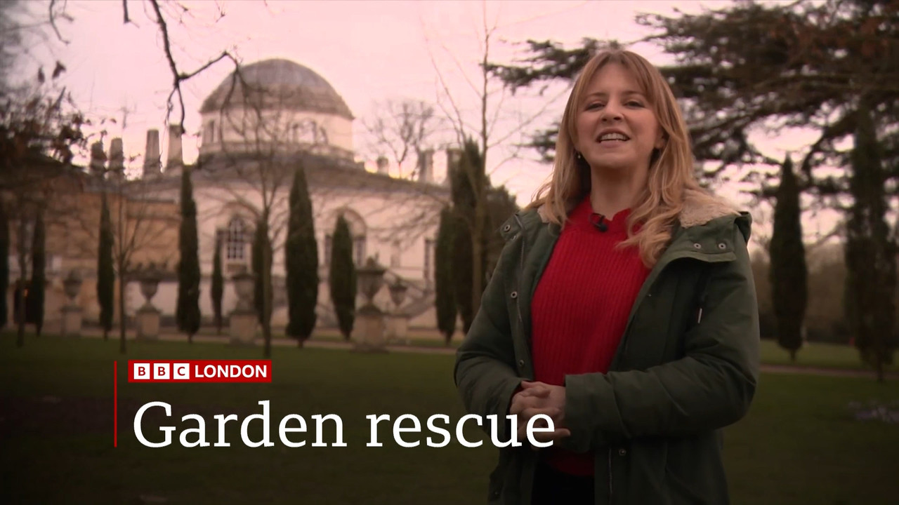 BBC London News_20240305_18301900.ts_snapshot_02.39.610