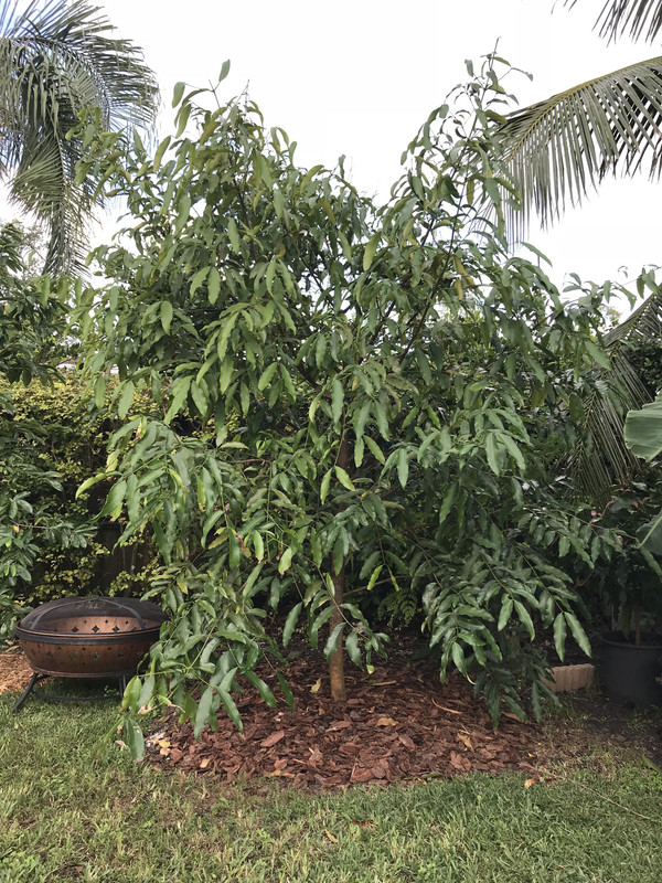 17C52578-9726-4517-B4A8-9B88B0314301