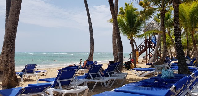 DIA 3 - HOTEL GRAND SIRENIS PUNTA CANA - Hotel Grand Sirenis Punta Cana + Samana + Cortecito (21)