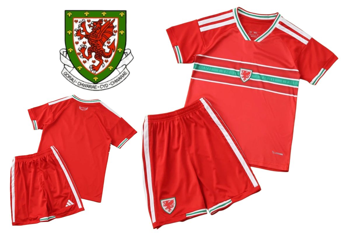 Wales Children's Football Jersey