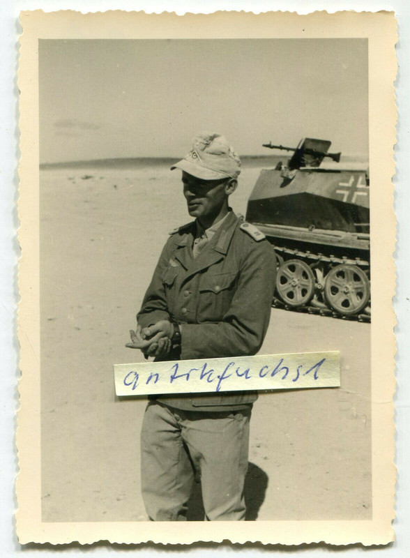 WH-Schützen-Panzer mit schwerem MG des Afrikakorps in Afrika im 2.WK