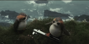 Die-Die-Die.gif