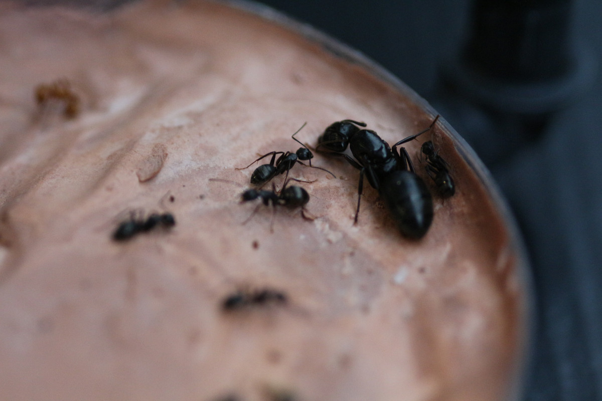 89593BDF-48D0-4D00-9182-65C1EB57D96A