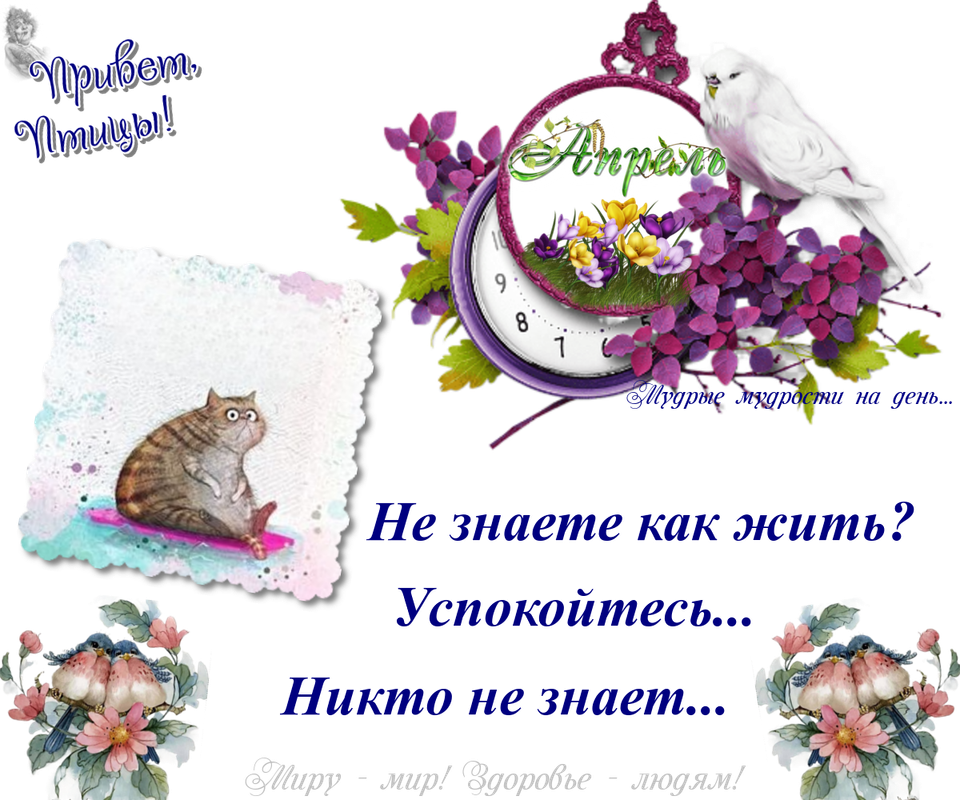 https://i.postimg.cc/zB3L2PnP/06-04.png