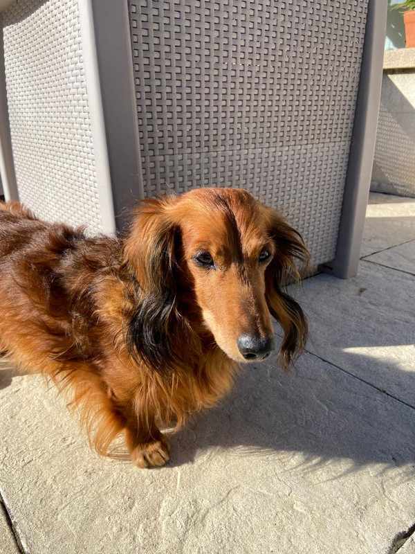 [Image: e99abca2-1e2e-4bbb-beb8-3efb54312fad.jpg]