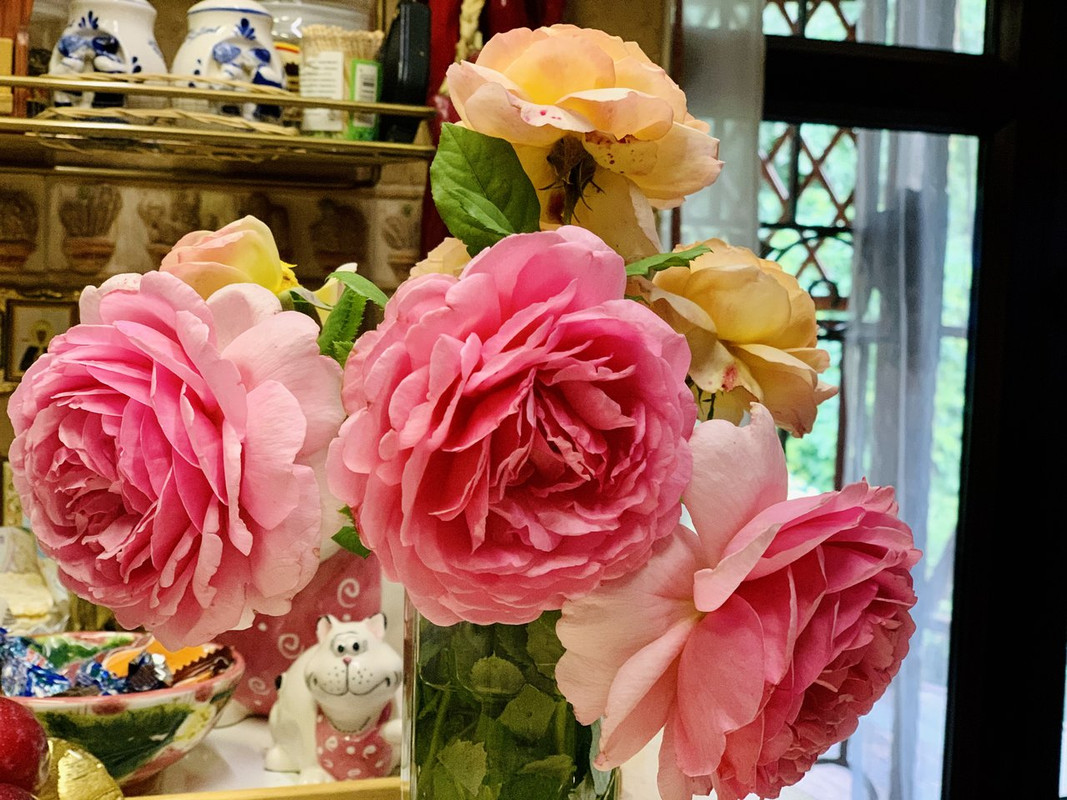 91DF66A8-A3B7-46F2-9BCC-95A92C6D1303