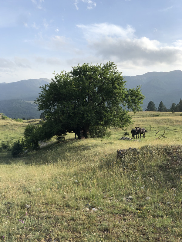 65957EDB-9F7A-4CF3-86C2-CC1B8F684DFE