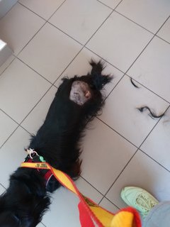 [Image: IMG-20210902-112403.jpg]