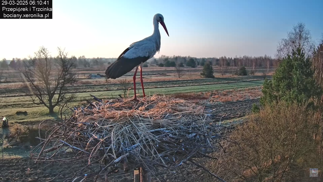 29032025porannezamieszanie_3