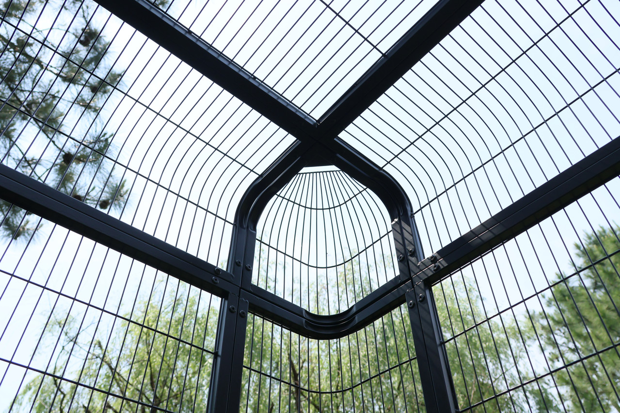 Bird Cage View 3
