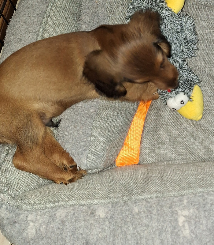 [Image: 20240906-184723.jpg]