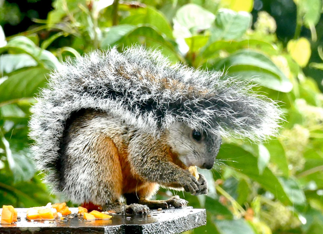 1EFE335F-27C6-47FB-8FD4-A88C5EC6D721