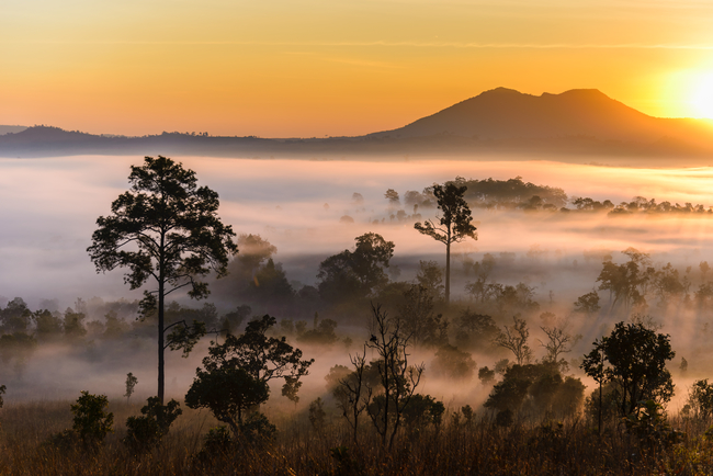 cool season in chiang mai