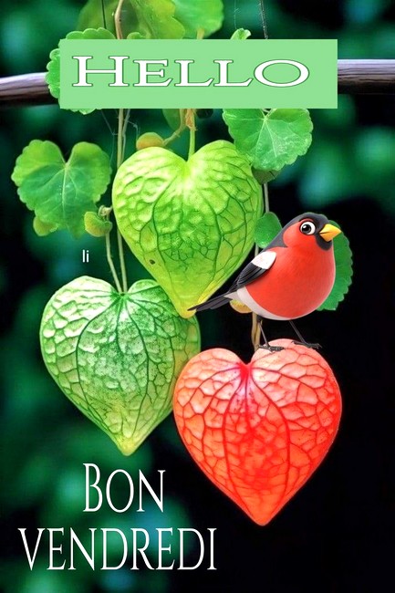 vendredi