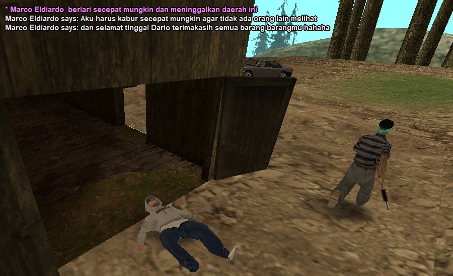 s14.jpg