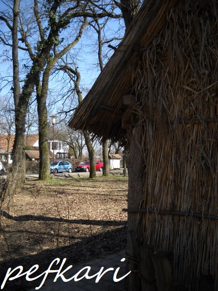 Slika