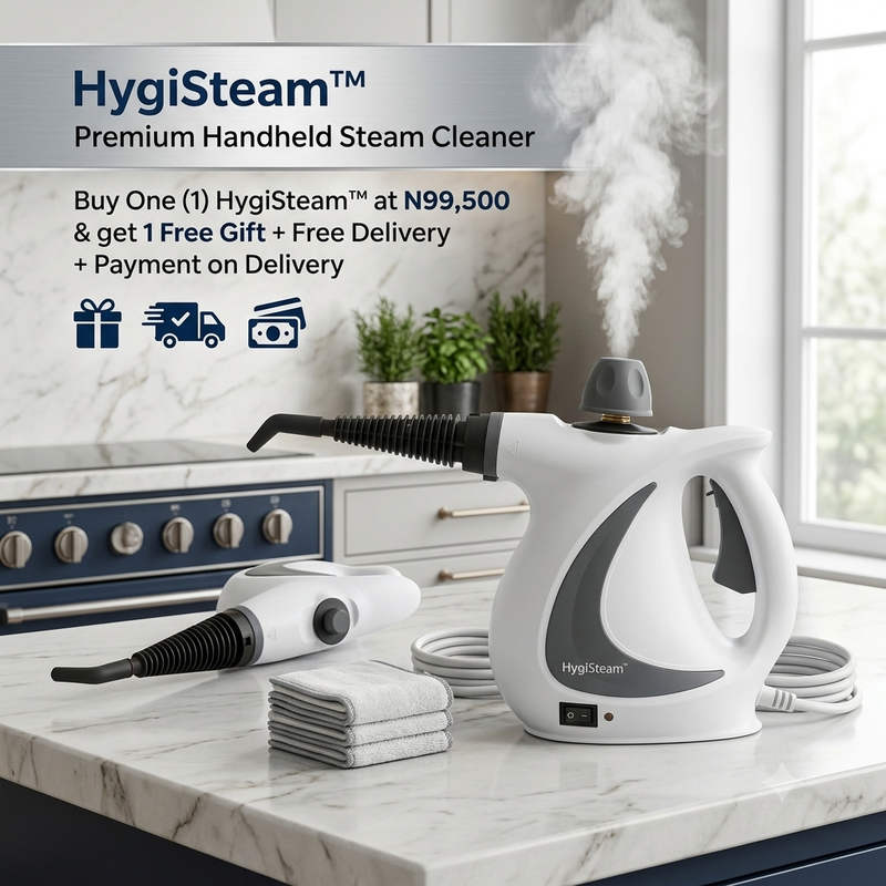 HygiSteam handheld steam cleaner