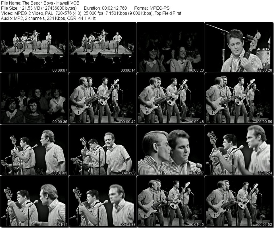 The-Beach-Boys-Hawaii-VOB-tn.jpg