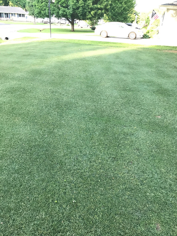 CF668C47-81D1-4E0C-99A7-6AE29D9438E8