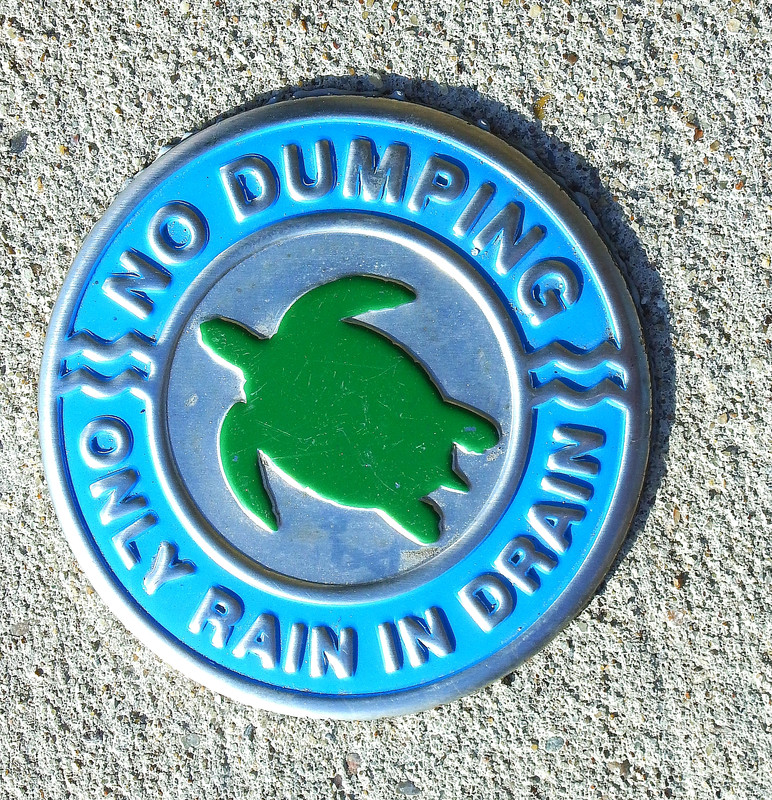 IMAGE: https://i.postimg.cc/zB5Y4jjn/CC-downtown-streetdrains-2.jpg