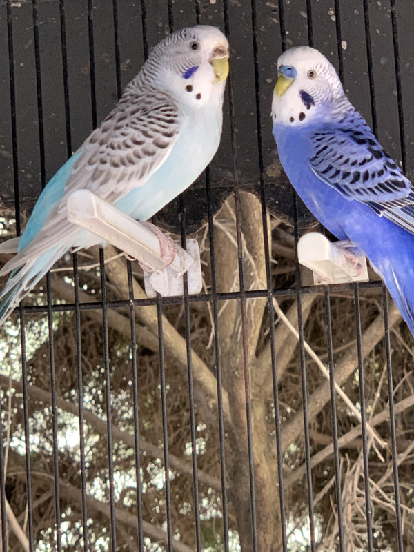 6529421A-A532-4102-855E-21556E2B886B