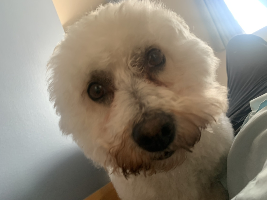 6B205F9B-4601-4DDB-8917-9A6778FAD55C