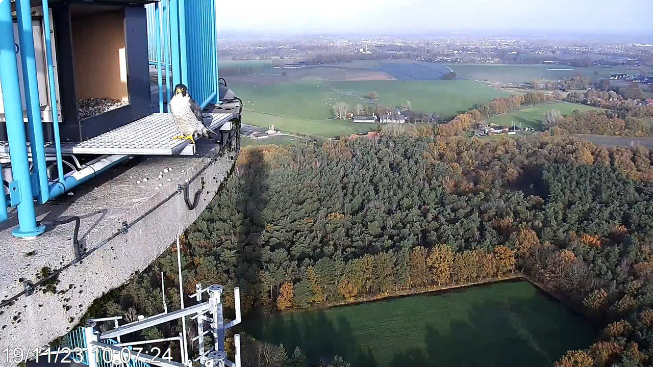 screenshots va 2 november 2023 © VWGGemert - Pagina 5 2023-11-19-100755