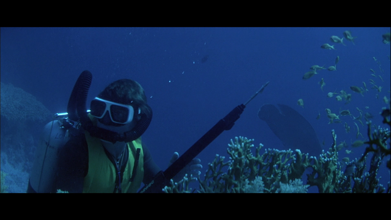 vlcsnap-2023-02-19-17h53m25s436