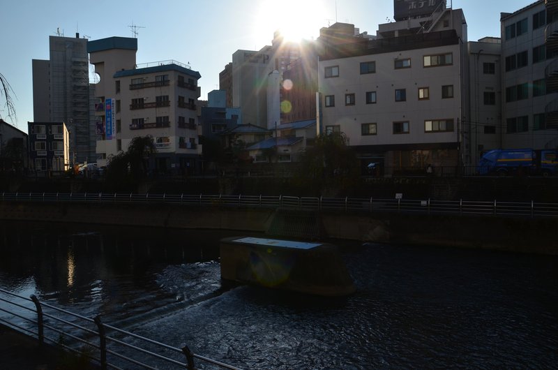 Utsunomiya-13-11-2024 - Japón y sus Pueblos-2024 (24)